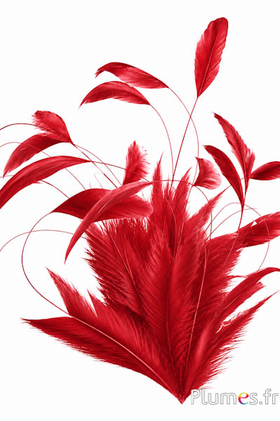 Gallo Body Split - 20-25 cm - rosso